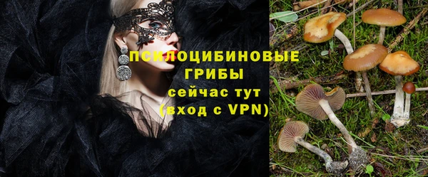 каннабис Армянск