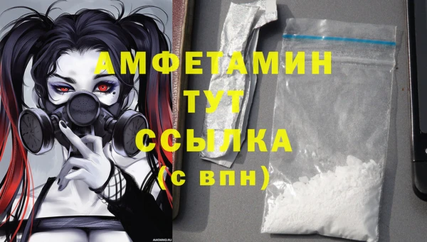 spice Аркадак
