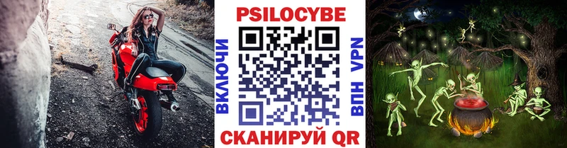 hydra как войти что такое наркотик Россошь Псилоцибиновые грибы мицелий